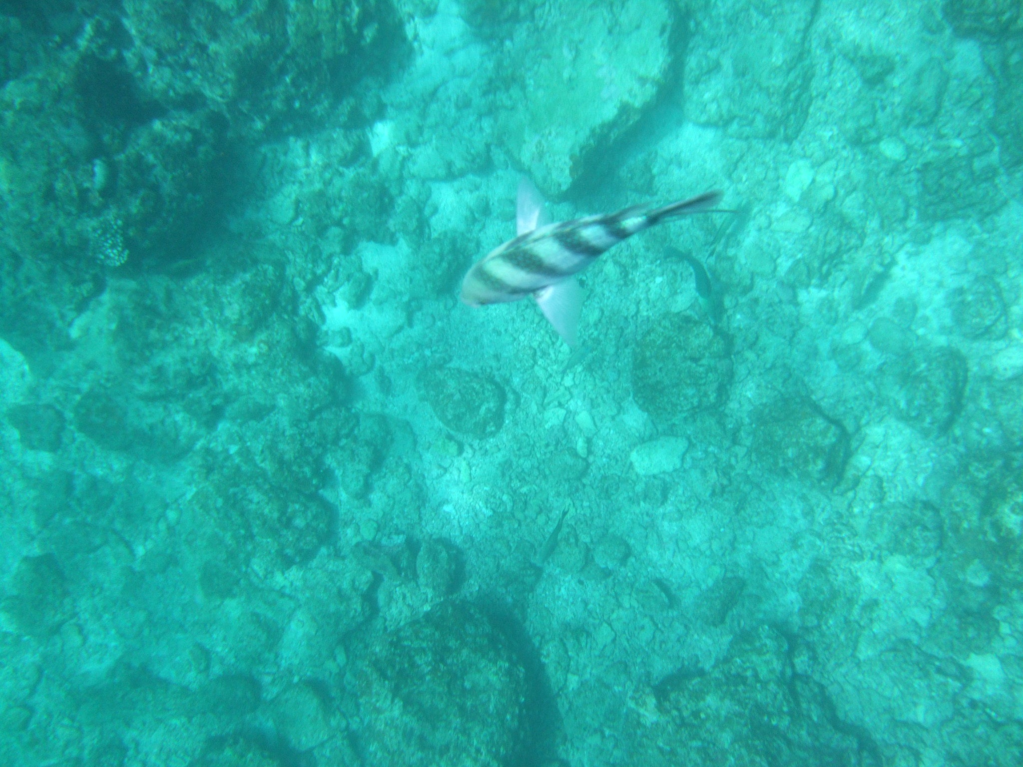 医師に相談するタイミング