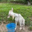 Rちゃんのサムネイル