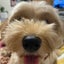 yunamamaのサムネイル