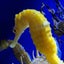 ハカイゼットのサムネイル