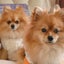 june24wsのサムネイル