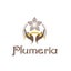 画像 藤沢Men's Spa Plumeria公式ブログのユーザープロフィール画像