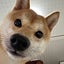 画像 ぐうたらかあちゃん毎日がいっぱいいっぱいのユーザープロフィール画像