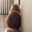 まるともふもふ生活のサムネイル
