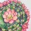  いち花のサムネイル
