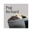 pug-richard1のサムネイル