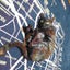 釣師Dのサムネイル