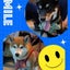 halusora0723のサムネイル