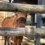 Retreatのサムネイル