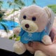 にゃべセレクトショップのサムネイル