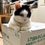 桜庭 佑実*のサムネイル
