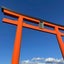yokonyanko222のサムネイル