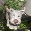 tsukko-smのサムネイル