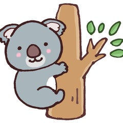 まったりコアラの四柱推命のプロフィール
