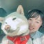 Maikoのサムネイル