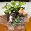 everfreepinkspiderのサムネイル
