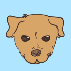 やゆよのプロフィール