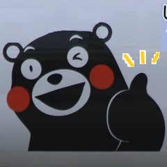 赤い炊飯ジャアのプロフィール