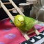 はる＊筆文字アートと日常＊のサムネイル
