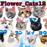 Flower_Cats12のプロフィール