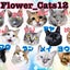 Flower_Cats12のサムネイル