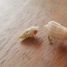 りいのプロフィール