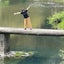 bibiのサムネイル
