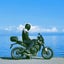 画像 Yosshiのバイク記録のユーザープロフィール画像