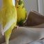 りおLOVEのサムネイル