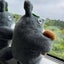 ちー坊のサムネイル