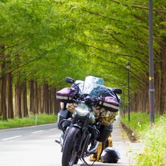 MOTO GUZZIの元口のプロフィール