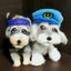 画像 Mシュナ・えーすと元保護犬・あいちゃん♡ワンピースをねらえ！！のユーザープロフィール画像