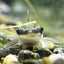 リュウさんのサムネイル