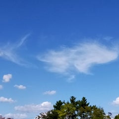 よしの🌞のプロフィール