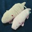 でば子のサムネイル