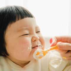 桃のプロフィール