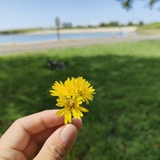 アラサー主婦あやみのおすすめのサムネイル