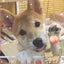 tsutsurikoのサムネイル