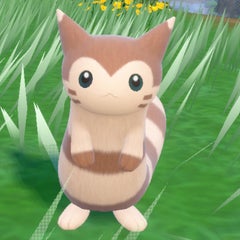 ナツメのプロフィール