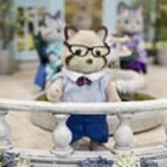 ハシのプロフィール
