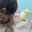 miichanのサムネイル