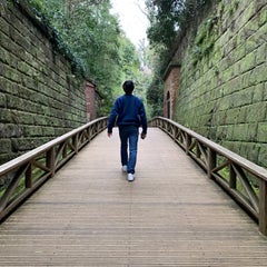 appi-polepoleのプロフィール