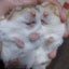 つーらんのサムネイル