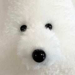 ドバイちゃんのプロフィール