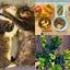 画像 インドア主婦のおうちライフwith保護猫のユーザープロフィール画像