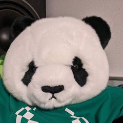 しゃんこのプロフィール