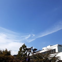 adjust-mkのプロフィール