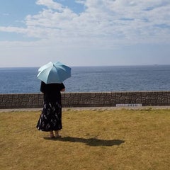 梛沙のプロフィール