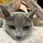 そーこのサムネイル