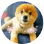 あーちゃんのサムネイル
